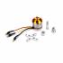 BLDC Motor 1000KV